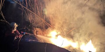 燕巢山區火警消防全力撲滅　呼籲清明掃墓落實「四不一要」