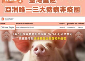 非洲豬瘟防疫成果獲WOAH認證 臺灣重返亞洲唯一「三大豬病非疫國」