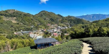 走進嘉義梅山山城　開啟身心療癒的「自然處方」之旅