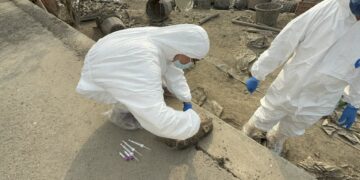 違規廚餘養豬屢勸不聽　家畜所開罰346萬元