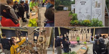 從一棵樹看見共生迴響的力量 綠博植人育所翻轉大眾生態認知