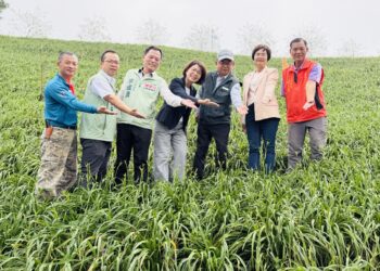 花季登場！虎山巖金針花蓄勢待開  猜中第一朵花開時間抽大禮包