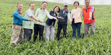 花季登場！虎山巖金針花蓄勢待開  猜中第一朵花開時間抽大禮包