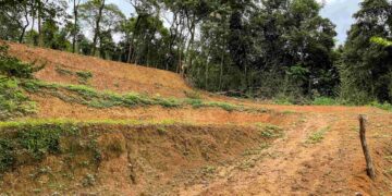 清明整理土地要注意！新北農業局提醒：未經申請擅自開挖整地     最高罰 30 萬