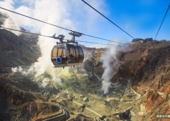 母親節孝親商機升溫　旅行社推「沖繩價玩東京」搶市