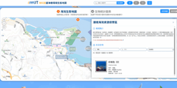 結合影像認識海龜 探索海科望海巷生態地圖了解海洋生態