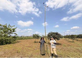 屏東推「生態薪水　守護草鴞 打造人與自然共存農地