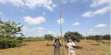 屏東推「生態薪水　守護草鴞 打造人與自然共存農地