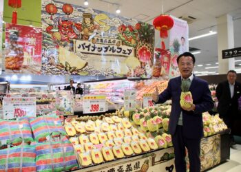 嘉義金鑽鳳梨進軍日本東北　上架青森Universe開拓外銷新里程