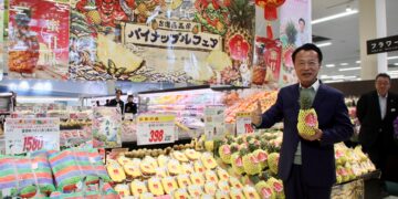 嘉義金鑽鳳梨進軍日本東北　上架青森Universe開拓外銷新里程