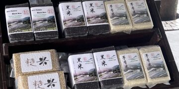 層層疊疊的紫色浪漫！石門嵩山社區鳶尾花季登場     百年砌石梯田變身藝廊