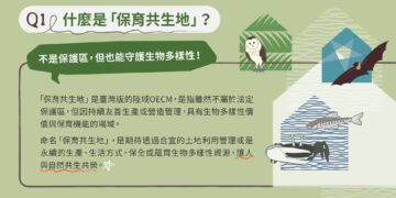 【棲地復育、生態共榮、成效顯著】全國首屆保育共生地認證，《草鴞、水雉》躍上國際舞臺