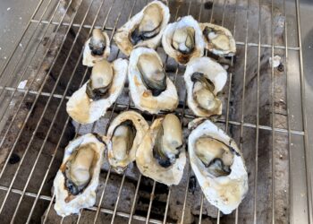 從內蒙古草原到芳苑海口   新住民夫妻讓芳苑蚵香四溢