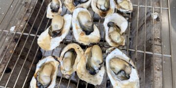 從內蒙古草原到芳苑海口   新住民夫妻讓芳苑蚵香四溢