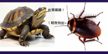 774◆社會欺詐蟑螂猖獗 人人鐵鎚拖把備妥