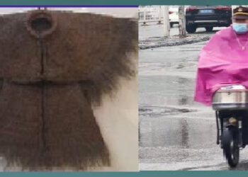 776◆窮苦堅耐百樣苦事都有做過　終就安全光榮下莊的金鳳哥