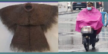 776◆窮苦堅耐百樣苦事都有做過　終就安全光榮下莊的金鳳哥