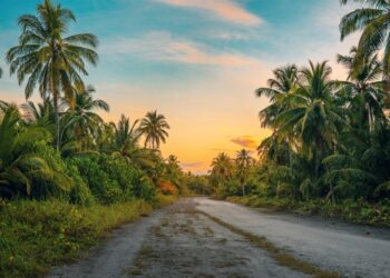學生到職場人士    不同階段的學習選擇    語言進修如何隨角色轉變