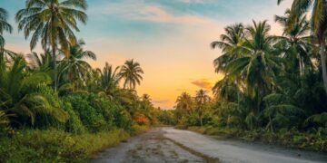 學生到職場人士    不同階段的學習選擇    語言進修如何隨角色轉變