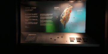 《100Y 山林有時:___》特展:與森林共舞的時間之河、百年林業的節奏與轉身