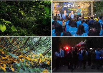 影音/火金姑的故鄉螢光閃耀 小礁溪賞螢季啟動