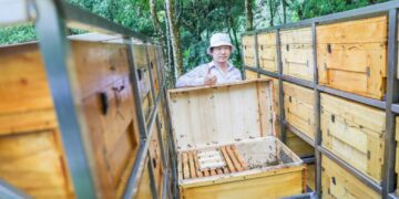 春暖花開來三峽！蜂樺蜂蜜推互動食農體驗     帶你揭開山嵐間的「液體黃金」