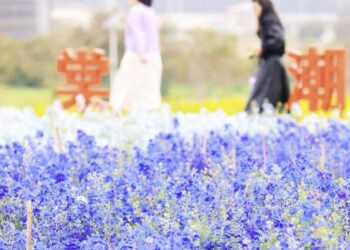 紮根海滄  保生文化結合兩岸共繁榮