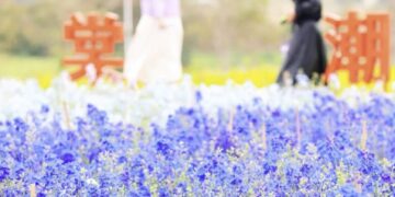 紮根海滄  保生文化結合兩岸共繁榮