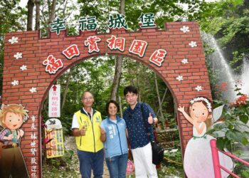 「2026桐花祭-福田桐花小旅行」浪漫展開盛開  桐花盛宴花況可期