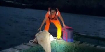 海委會擬增訂《野保法》「走私未遂」罰則　終結保育類鸚鵡蛋「查得到、罰不到」困境