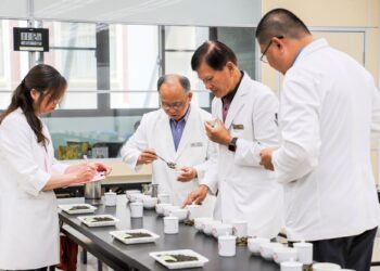 阿里山高山茶春茶競賽揭曉　氣候影響減量但品質仍優