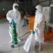 養禽業者主動通報鹽埔鄉　鵪鶉場確診感染H5N1禽流感