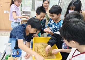花蓮從校園邁向國際認證  臺美生態學校16所通過認證