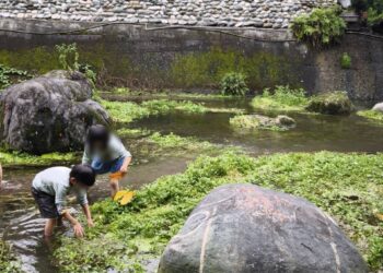 展望會辦理馬太鞍濕地親子遊 陪伴親屬安置家庭認識自然文化