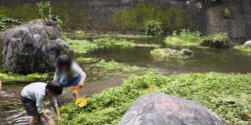展望會辦理馬太鞍濕地親子遊 陪伴親屬安置家庭認識自然文化