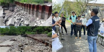 配合新城溪生態守護　自來水公司允編預算拔除鋼板樁