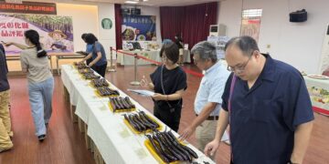 彰化麻糬茄稱霸全國 茄子評鑑比賽61組頂尖高手爭奪「極品茄王」寶座