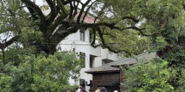 「玉里樟香.有福桐享」走讀活動 民眾深度探索客庄風華有感