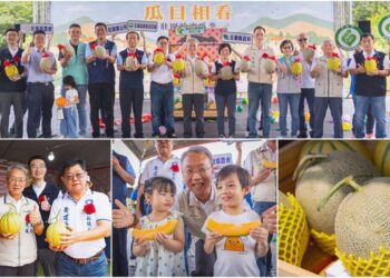 瓜目相看.2026壯圍哈密瓜季登場 三大品種香甜上市