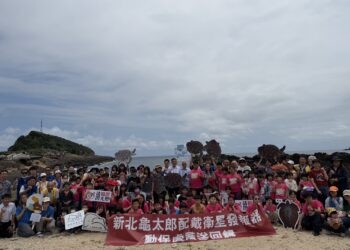 科技守護洄游路!新北首隻裝設衛星發報器海龜「龜太郎」於野柳重返大海
