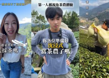展現台灣新農業文化韌性!TikTok 助攻地方創生 品茗美學注入現代創意被世界看見