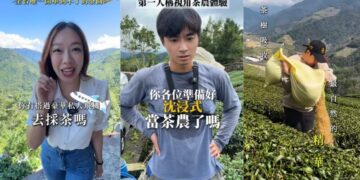 展現台灣新農業文化韌性！TikTok 助攻地方創生     品茗美學注入現代創意被世界看見