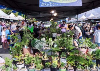歡慶淡江大橋通車!侯友宜力推淡水「植愈蒔光節」 結合希望市集翻轉綠色商機