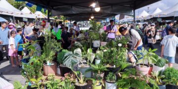 歡慶淡江大橋通車!侯友宜力推淡水「植愈蒔光節」 結合希望市集翻轉綠色商機