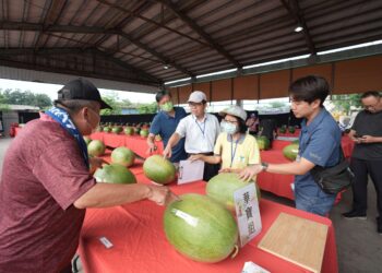 雲林精品西瓜盛夏爭鋒　2026西瓜評鑑揭曉  歡迎共赴二崙西瓜盛宴
