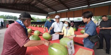 雲林精品西瓜盛夏爭鋒　2026西瓜評鑑揭曉  歡迎共赴二崙西瓜盛宴