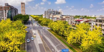 嘉義市阿勃勒花季串聯皮克敏熱潮　即刻出發今夏最療癒城市