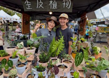 看淡江大橋、逛植藝市集!淡水「植愈蒔光節」5/16 啟動 在地地酒與綠植的療癒邂逅