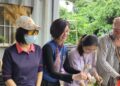 在都會區找回土地連結!新北原民局推野菜食農教育 打造頂級心靈環保大課堂