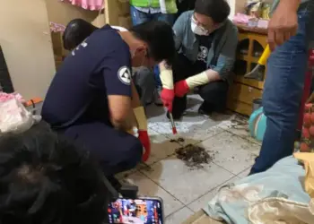小鴨把拔版稅捐助社福公益　賴瑞隆助弱勢家戶迎向亮晶晶